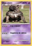 dogo canario