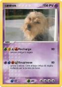 caninos