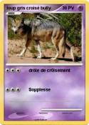 loup gris