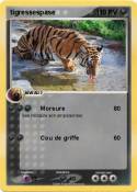 tigressespase