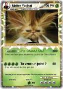 Maitre Yochat