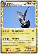 pigeon