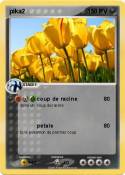 pika2