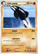 bébé pandy