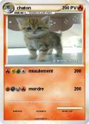 chaton