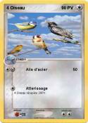 4 Oiseau