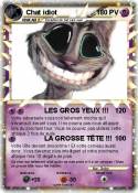 Chat idiot
