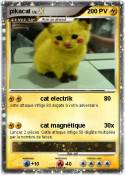 pikacat