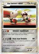 the fastest rabbit the fastest