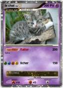 le chat