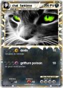 chat fantôme