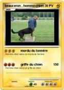 beauceron ,