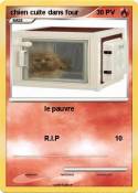 chien cuite