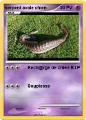 serpent avale