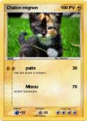 Chaton mignon Chaton mignon