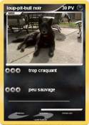 loup-pit-bull