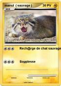 manul ( sauvage
