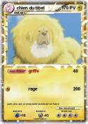 chien du tibet