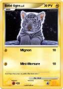 Bébé tigre