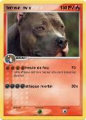 terreur nv x