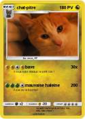 chat-pitre
