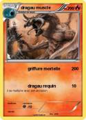 dragau muscle