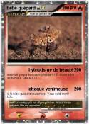 bébé guépard