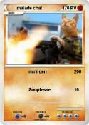 malade chat