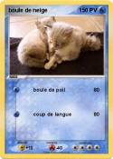 boule de neige 