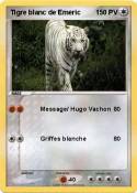 Tigre blanc de