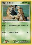 Tigre de Emeric Tigre de Emeric