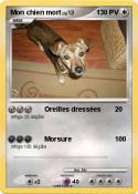Mon chien mort