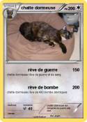 chatte dormeuse