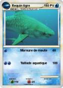 Requin tigre