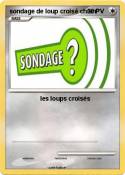 sondage de loup