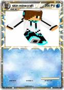 skin minecraft