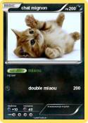 chat mignon