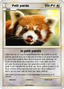 Petit panda