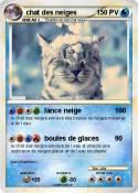 chat des neiges