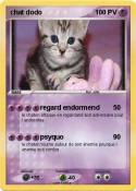 chat dodo