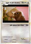 lapin et piti
