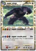 super singe