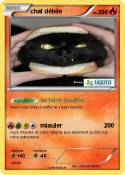 chat débile