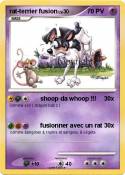 rat-terrier fusion rat-terrier