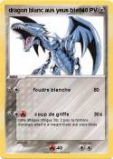 dragon blanc