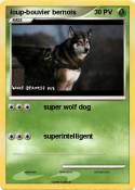 loup-bouvier
