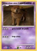 chow-chow sims