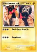 briard humour