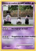 chiens en maillot de vélo du tour chiens en