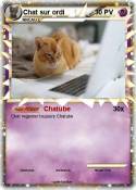 Chat sur ordi